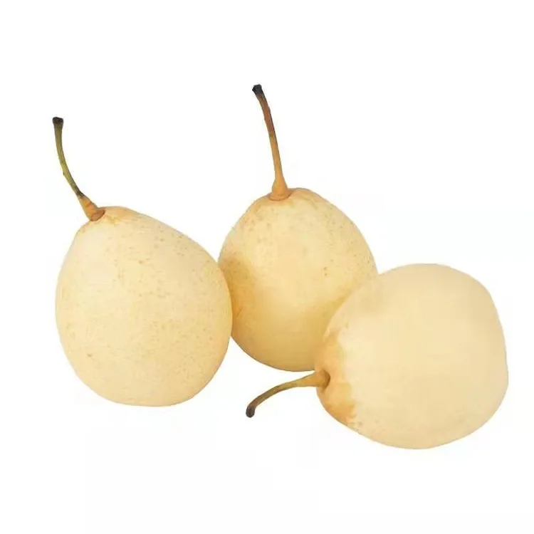 Šviežiai nuskinta kriaušė