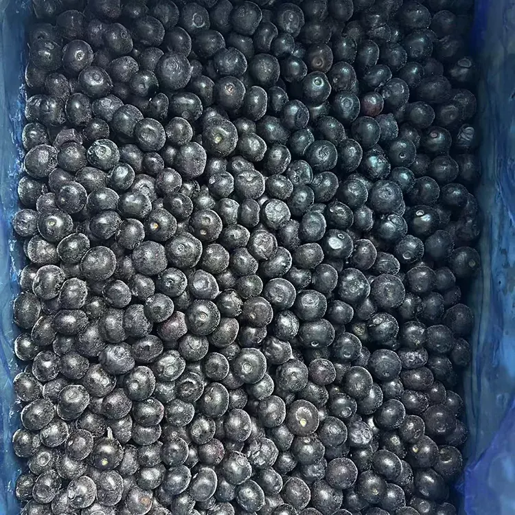 Šaldytos mėlynės Premium IQF mėlynės