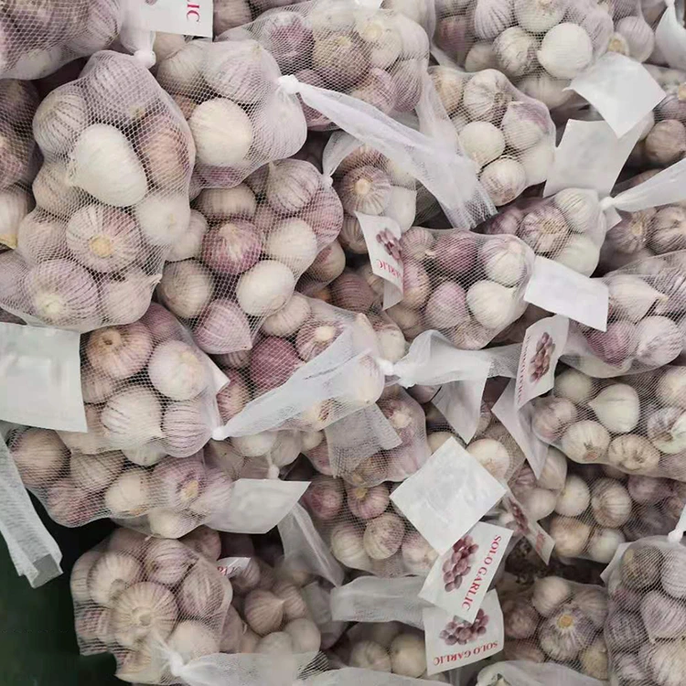 Aukštos kokybės vienos skiltelės česnakas
