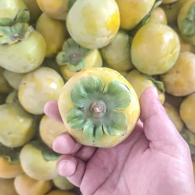 Aukščiausios kokybės šviežias traškus persimonas