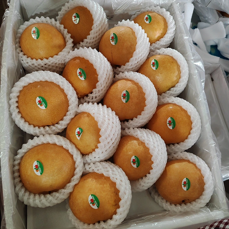 Aukščiausios kokybės Shingo kriaušės