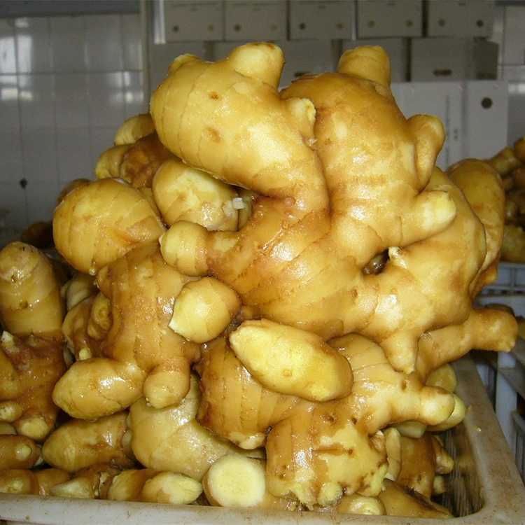 Aštrus šviežias aromatingas imbieras