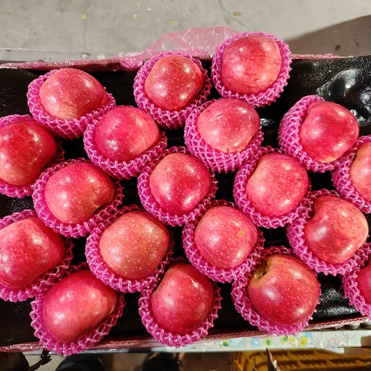 Aukščiausios kokybės švieži Jiguan obuoliai
